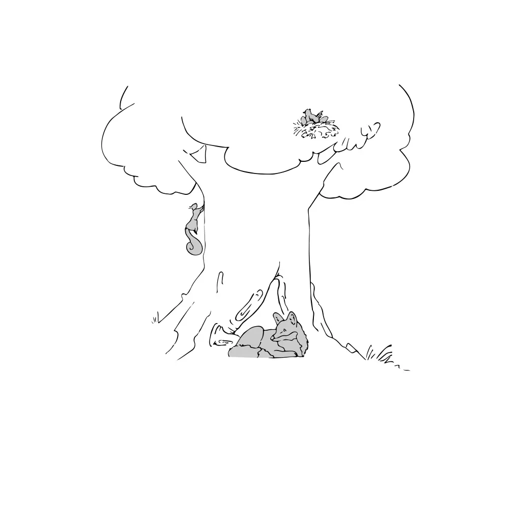 RYA materiaux04 durabilité