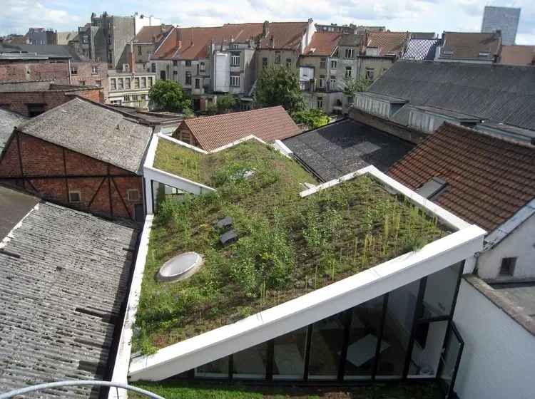 RYA - Etude PEB - Navez - Toiture verte